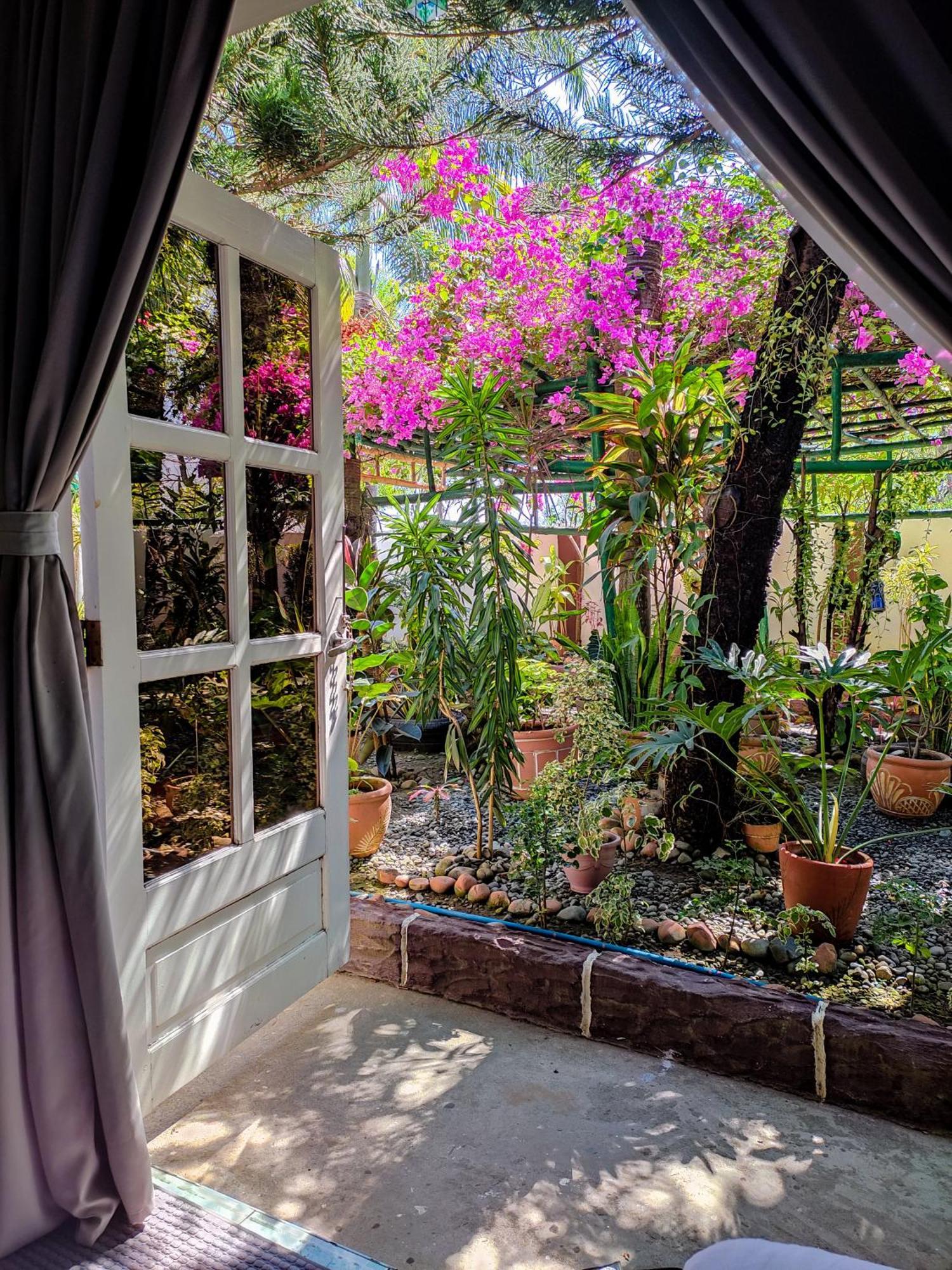 Olana Bed And Breakfast Labrador Экстерьер фото